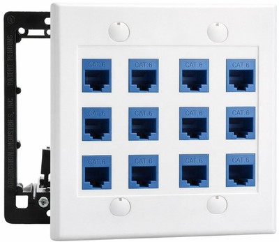 DIYTECH 12 Port Ethernet Wall Plate, Cat 6, Outlet, RJ45 Female Various 