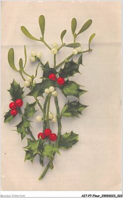 AITP7-FLOWER-0628 - snow drill and holly