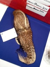 Wigging Out Synthetic Clip On Ponytail Hair Extension style 535 color 27/613T