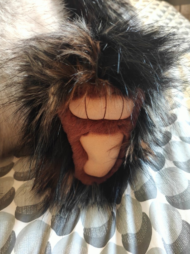 Charlie Bears Couch Potato (less than RRP) Paw Store Exclusive eBay