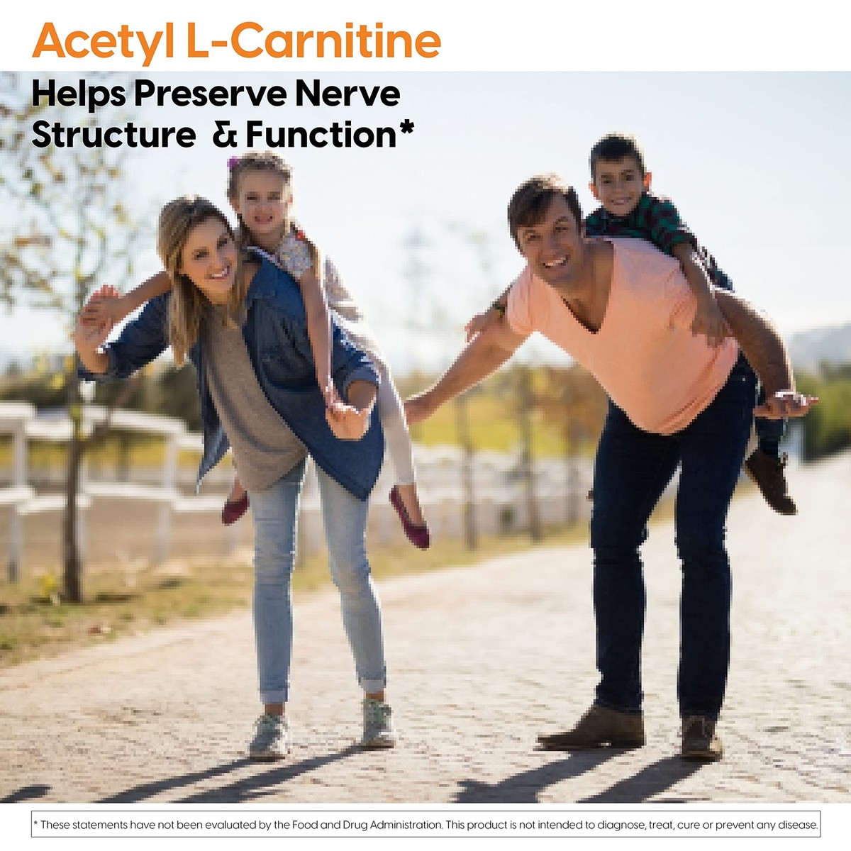 l carnitine  L-carnitine 100ml for horses and dogs
