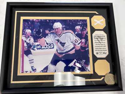 MARIO LEMIEUX 2001 ALL-STAR GAME USED NET PIECE L.E 39/99 AUTHENTIC RARE 15X12