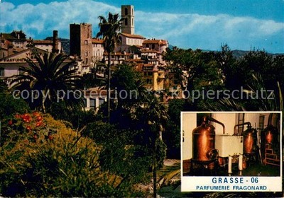 Grasse Alpes Maritimes La Vieille Ville Jardin des Plantes Alambics de la Parfum