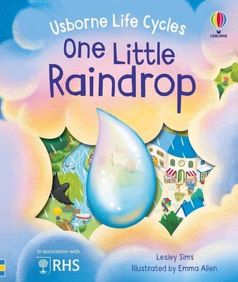 One Little Raindrop by Lesley Sims Board Book Book