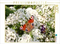 Calvendo Puzzle Common Peacock Butterfly On White Flowers | 2000 Pieces, Finishe