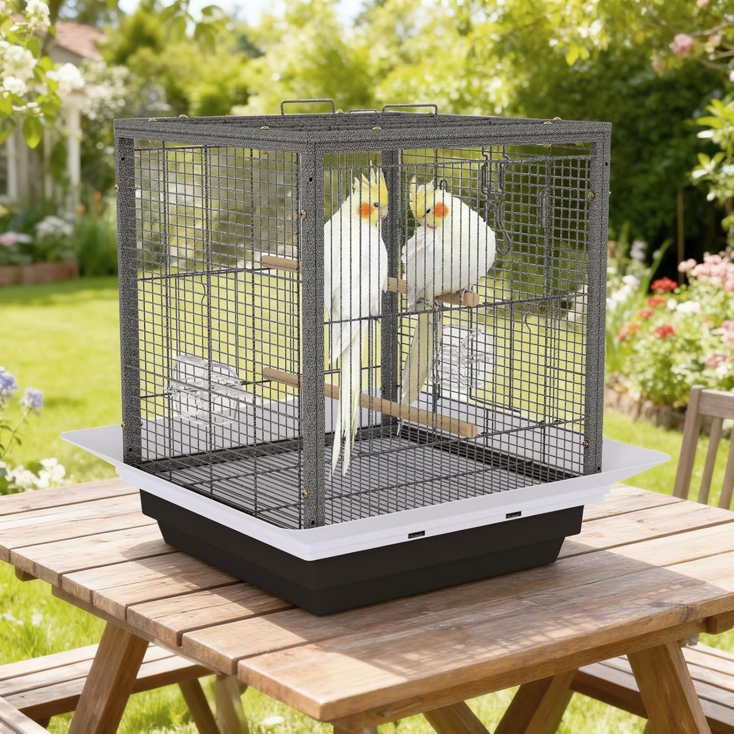 For Budgie Parakeet Canary Cockatiel Finch Lovebird