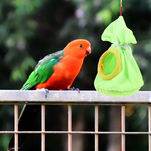 Suspendu tendance Mangeoires Doiseaux Balançoire Nid Oiseau Tente Parrot Hanging