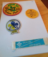Scout badges