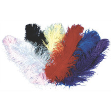 Ostrich Plumes Jumbo
