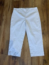 JM Collection Capri NWT Size Large Beige Tummy Control