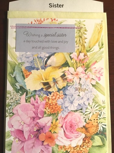 SISTER BIRTHDAY Cards, Nature's Sketchbook, by Hallmark, 6 choices NS23 - Picture 12 of 24