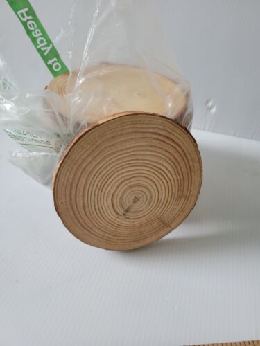 Round Wood Slices Unfinished 4.5" Log Natural Set Of 10 Bark
