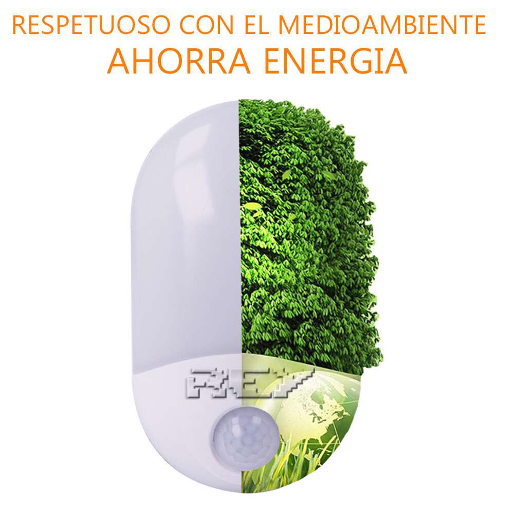 Imagen 6 de 6