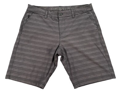 Hang Ten Shorts Mens 36 Grape Striped Skate Board Surf