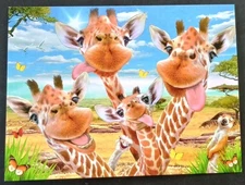 Funny Kids Birthday Card