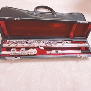 Pearl 505 Flute | eBay