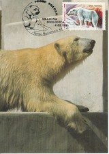 ROMANIA 1991: POLAR BEAR, maximum card - registered shipping!