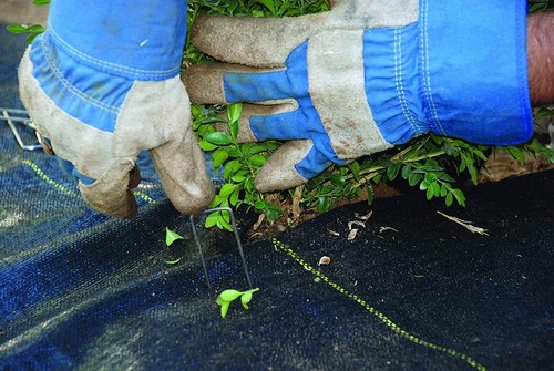 DeWitt P5 Pro 5 5oz Commercial Landscape Weed Barrier Ground Fabric - Picture 23 of 49
