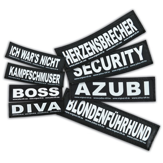 Bild 1 von 2
