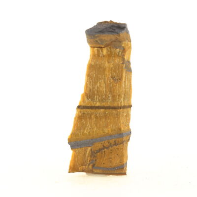 Tiger's Eye. 57.0 ct. Northern Cape, South Africa.
