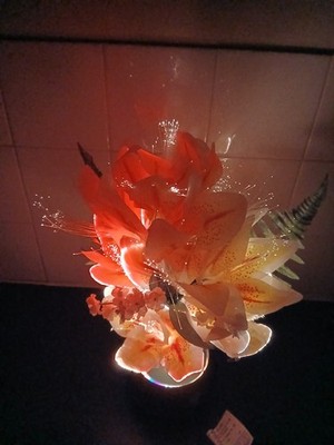 Extrem seltene Vintage animierte bewegliche Farbwechsel Glasfaser Blumenlampe