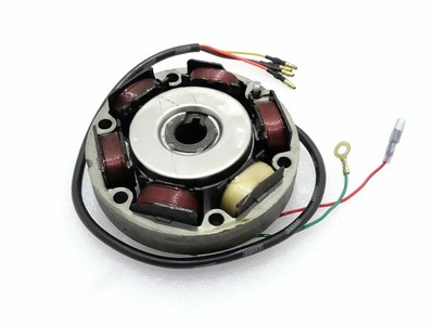 Royal Enfield 12v 6 Wire Alternator And Magnet | eBay