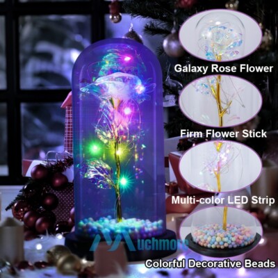 Enchanted Galaxy Rose Flower Preserved In Glass Dome LED Light Valentines Gift