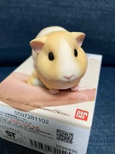 Japan Guinea pig Pet PVC hollowed figure model toy