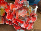 Bild 10 von 11