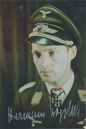 Herman Hogeback signed color photo. Luftwaffe Ace. Swords winner. Ju-88. WWII