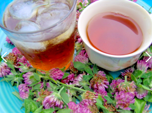 2000 X RED CLOVER SEEDS-VEGETABLE-HONEY SUBSTITUTE-WILDFLOWER-HERBAL TEA PLANT - Picture 3 of 6