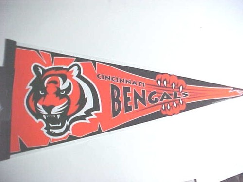 NFL PENNANT ON SALE MOST TEAMS THESE ARE CLOSEOUT ITEMS GET YOURS TODAY - Picture 3 of 19