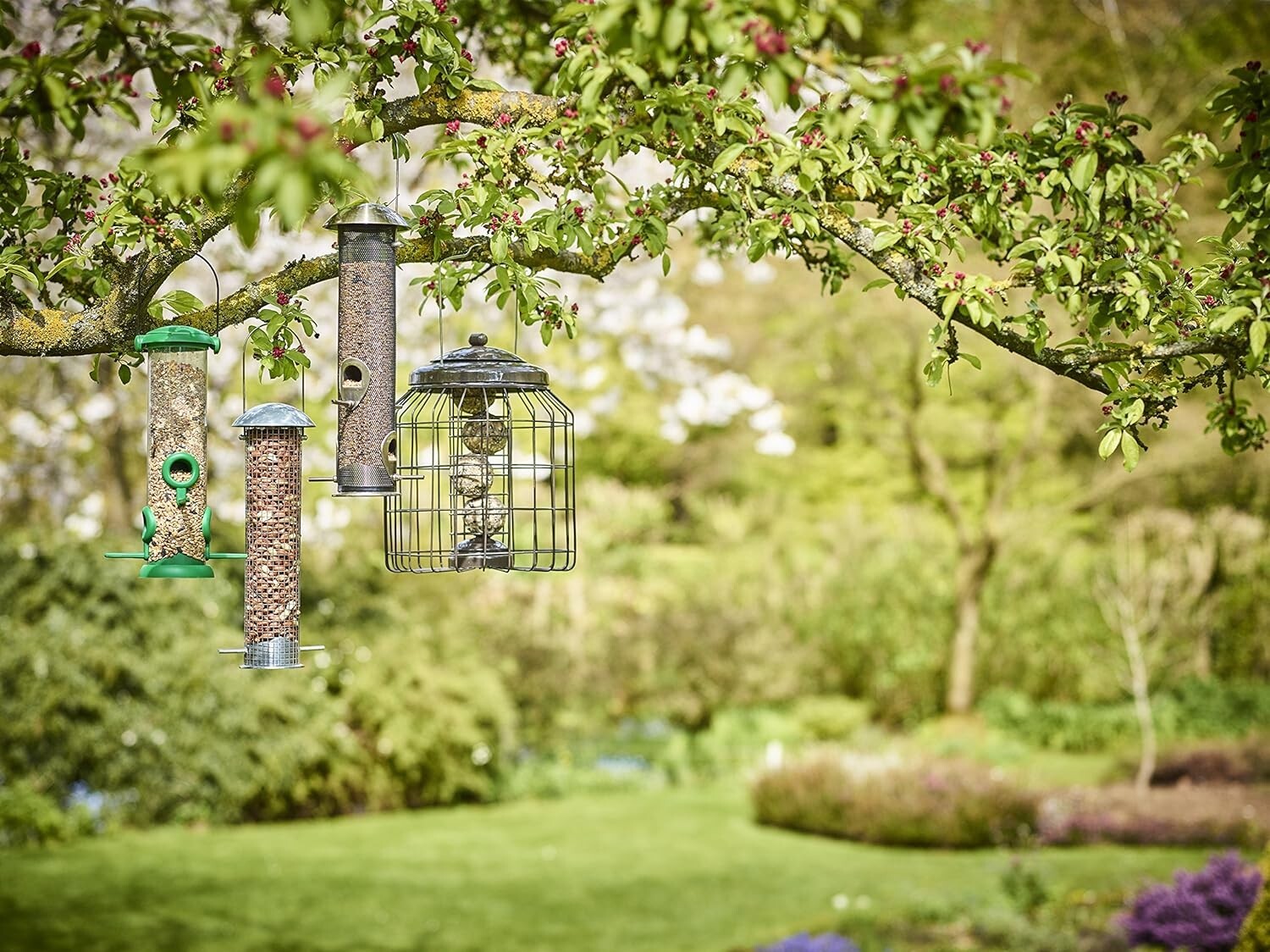 Picture 4 of 5