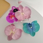 Foto 15 di 21