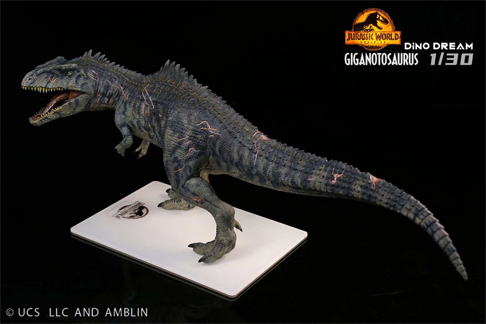 DINO DREAM 1:30 Scale Giganotosaurus Dinosaur Animal Model