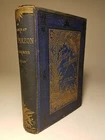 1872 ON THE BANKS OF AMAZON TROPICAL SOUTH AMERICA by KINGSTON 1ST ED ENG PLATES