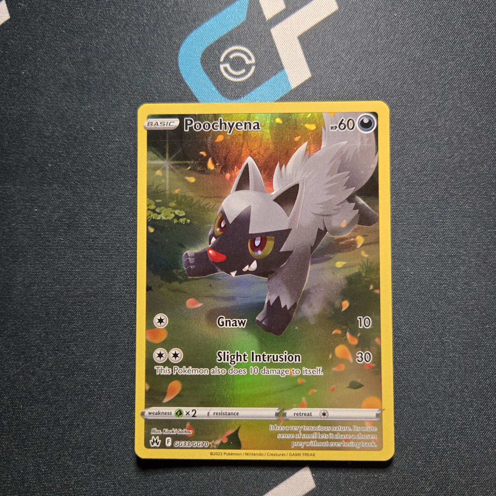 Poochyena GG33/GG70 Crown Zenith: Galarian Gallery Holo Pokémon TCG 