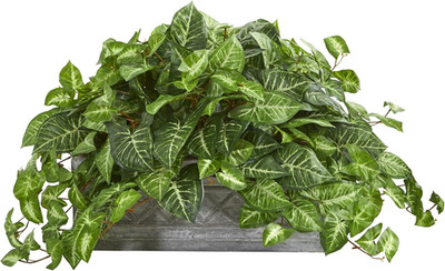 Elegant Nephthytis Artificial Plant in Stylish Stone Planter