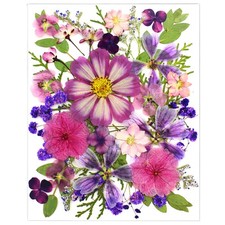 LUCISKY 35Pcs Purple Pressed Dried Flowers for Resin Molds, Real Natural Bulk...