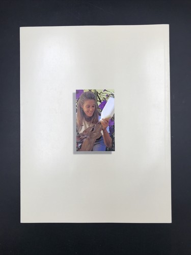 VTG 1997 The Walt Disney Company Annual Report w/ Pullout Picture of Mulan - Picture 2 of 8