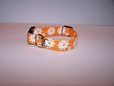 Wet Nose Designs Bright Daisy Daisy on Gold Dog Collar Floral Flowers spring