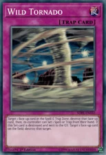 Wild Tornado		SDPL-EN032	Common	1st Edition - Near Mint  YuGiOh