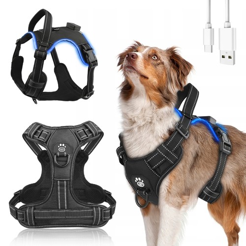 Hundegeschirr Leuchtend Aufladbar, LED Hundegeschirr Verstellbar Reflektierend - Bild 5 von 8