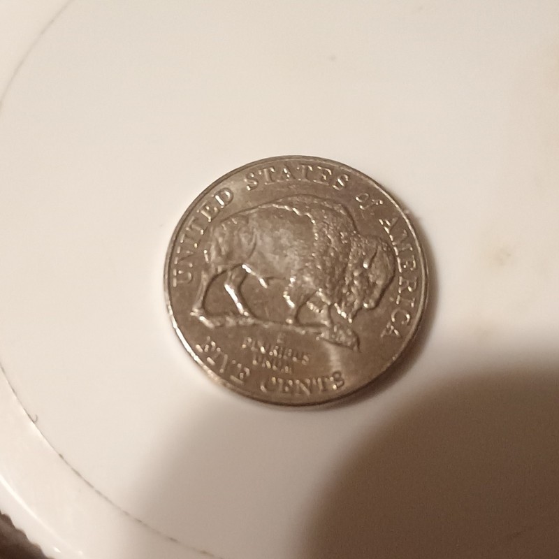 2005 Speared Bison P MINT Mark..It Has Sm.Letter Errors But Not Really Bad .