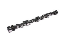 Bbc Solid Roller Cam 47s 313r10