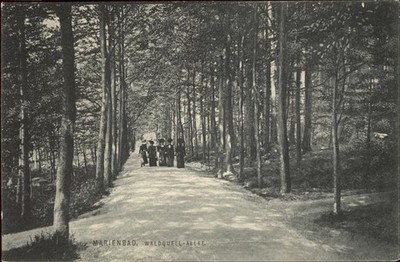 Mariánské Lázně Czech Republic Bohemia Forest Spring_Avenue