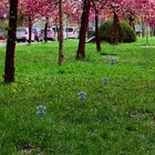 Bild 12 von 12