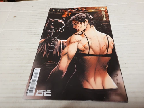 Catwoman # 53 Cover 2 (2023, DC) 1st Print Sergio Acuna Card Stock Variant