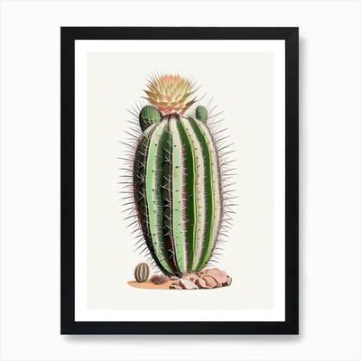 Echinocereus Kaktus Marker Kunst 1 Bogen gerahmtes Wandbild Poster Leinwanddruck Bild