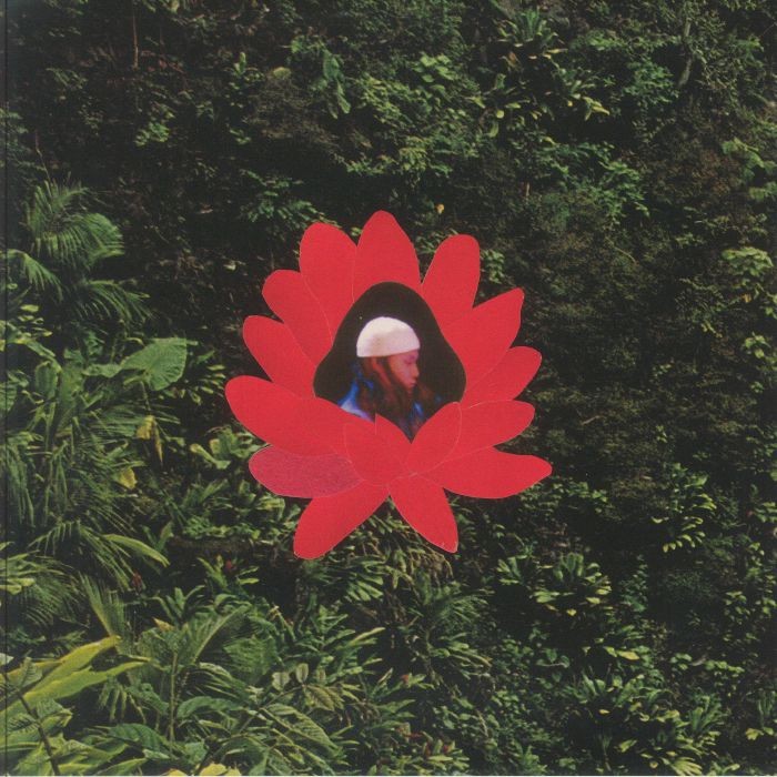 LIONMILK - When The Flowers Bloom - Vinyl (LP)